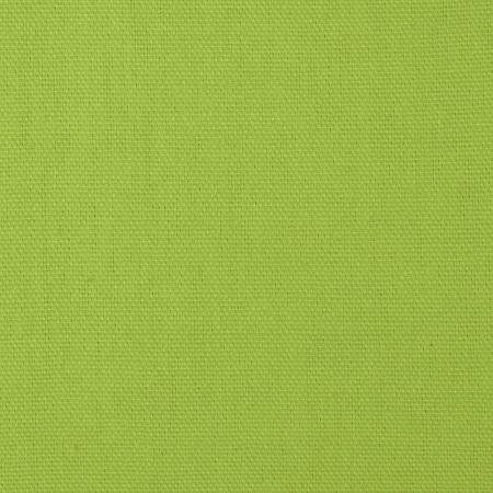 Lime Waterproof Solid Canvas Denier fabric / 50 Yards Roll