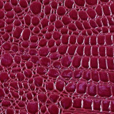 Rose Red Vinyl Crocodile, 55" Inches Wide